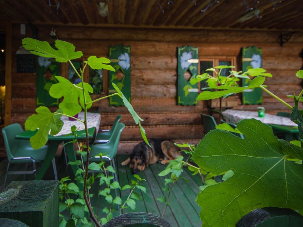 Bed and Breakfast Willa Jagniatkow Экстерьер фото